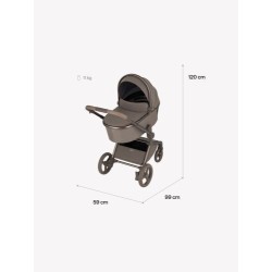 COCHE DUO FLO ANEX (  4 colores )