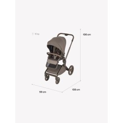 COCHE DUO FLO ANEX (  4 colores )