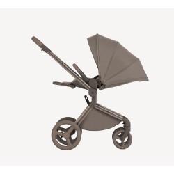 COCHE DUO FLO ANEX (  4 colores )