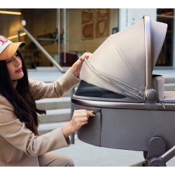 COCHE DUO FLO ANEX (  4 colores )