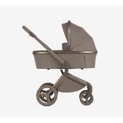 COCHE DUO FLO ANEX (  4 colores )