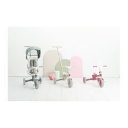 TRICICLO EVOLUTIVO EVOL OLMITOS ( varios colores )