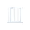 PUERTA DE SEGURIDAD OLMITOS
